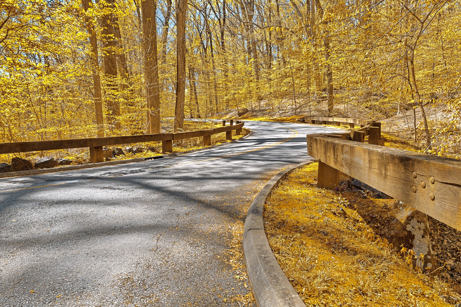 Peaceful road representing the journey of self-discovery